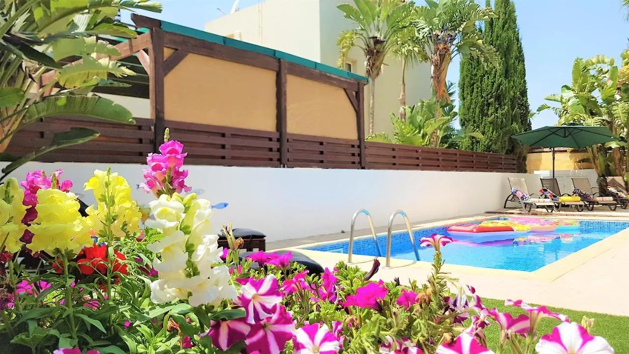 Palm Paradise Villa Ayia Napa