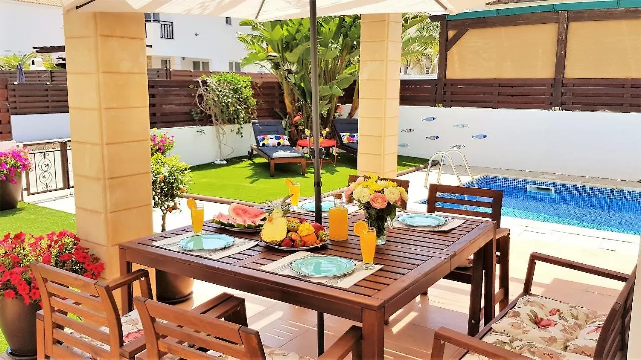 Palm Paradise Villa Ayia Napa Cipro