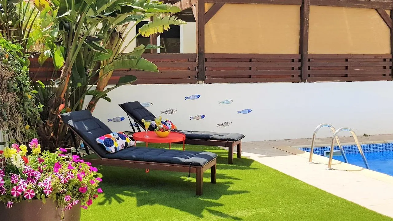 Palm Paradise Villa Ayia Napa 0*,